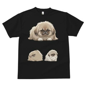 yLj[Y TVc fB[X t@  t  vg JWA 킢 lԗp h ̃fUC ʔ 킢 yLj[Y L[g ybg 