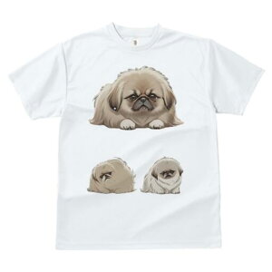 yLj[Y TVc fB[X t@  t  vg JWA 킢 lԗp h ̃fUC ʔ 킢 yLj[Y L[g ybg 