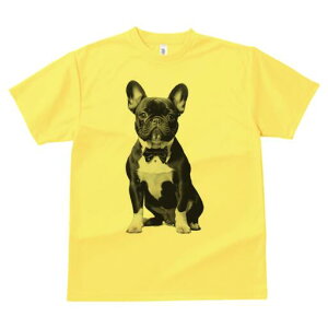 t`uhbO TVc fB[X t@  t  vg JWA 킢 lԗp h ̃fUC ʔ lN^C t`uhbO ^LV[h