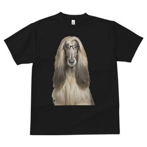 AtKnEh TVc Y LbY t@  t  vg JWA 킢 lԗp h ̃fUC ʔ Kl AtKnEh