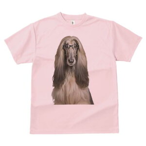 AtKnEh TVc Y LbY t@  t  vg JWA 킢 lԗp h ̃fUC ʔ Kl AtKnEh