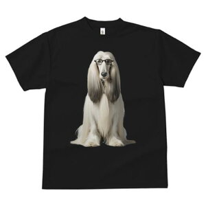 AtKnEh TVc Y LbY t@  t  vg JWA 킢 lԗp h ̃fUC ʔ Kl AtKnEh