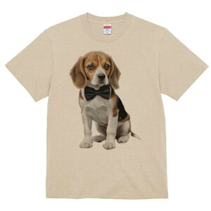 r[O TVc fB[X t@  t  vg JWA 킢 lԗp h ̃fUC ʔ lN^C r[O