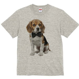 r[O TVc fB[X t@  t  vg JWA 킢 lԗp h ̃fUC ʔ lN^C r[O