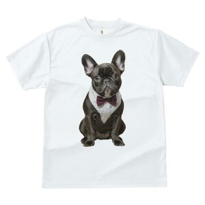 t`uhbO TVc fB[X t@  t  vg JWA 킢 lԗp h ̃fUC ʔ lN^C t`uhbO Vc