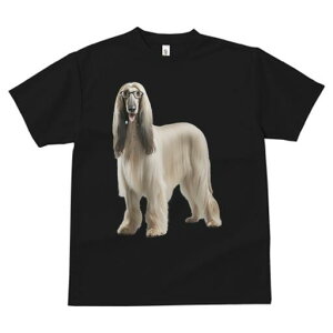 AtKnEh TVc fB[X t@  t  vg JWA 킢 lԗp h ̃fUC ʔ Kl AtKnEh