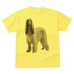 AtKnEh TVc fB[X t@  t  vg JWA 킢 lԗp h ̃fUC ʔ Kl AtKnEh