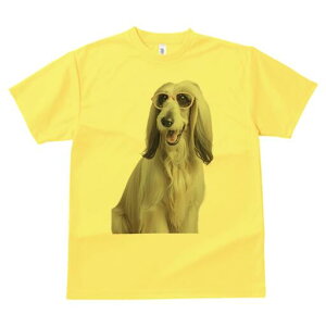 AtKnEh TVc fB[X t@  t  vg JWA 킢 lԗp h ̃fUC ʔ Kl AtKnEh