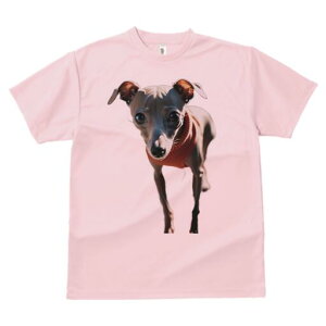 C^AO[nEh TVc fB[X t@  t  vg JWA 킢 lԗp h ̃fUC ʔ Z[^[ C^AO[nEh