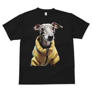 C^AO[nEh TVc fB[X t@  t  vg JWA 킢 lԗp h ̃fUC ʔ WPbg C^AO[nEh 