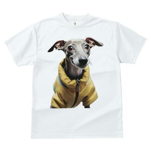 C^AO[nEh TVc fB[X t@  t  vg JWA 킢 lԗp h ̃fUC ʔ WPbg C^AO[nEh 