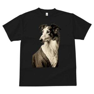 {]C TVc fB[X t@  t  vg JWA 킢 lԗp h ̃fUC ʔ hX {]C [X