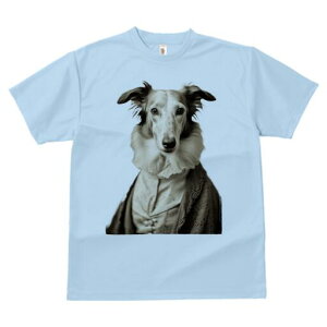 {]C TVc fB[X t@  t  vg JWA 킢 lԗp h ̃fUC ʔ M {]C ߑ g AeB[N