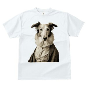 {]C TVc fB[X t@  t  vg JWA 킢 lԗp h ̃fUC ʔ M {]C ߑ g AeB[N