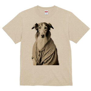 {]C TVc fB[X t@  t  vg JWA 킢 lԗp h ̃fUC ʔ AeB[N {]C g Be[W GKg