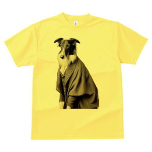 {]C TVc fB[X t@  t  vg JWA 킢 lԗp h ̃fUC ʔ X[c {]C WPbg tH[}