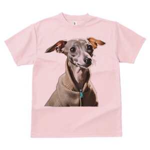 C^AO[nEh TVc fB[X t@  t  vg JWA 킢 lԗp h ̃fUC ʔ Z[^[ C^AO[nEh 