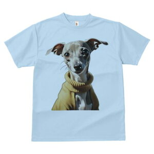 C^AO[nEh TVc fB[X t@  t  vg JWA 킢 lԗp h ̃fUC ʔ Z[^[ C^AO[nEh