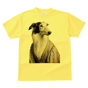 {]C TVc fB[X t@  t  vg JWA 킢 lԗp h ̃fUC ʔ hX {]C g Be[W