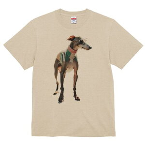 C^AO[nEh TVc fB[X t@  t  vg JWA 킢 lԗp h ̃fUC ʔ TVc C^AO[nEh 