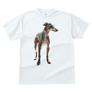 C^AO[nEh TVc fB[X t@  t  vg JWA 킢 lԗp h ̃fUC ʔ TVc C^AO[nEh 