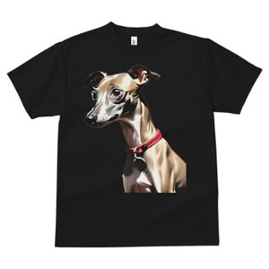 EBybg TVc fB[X t@  t  vg JWA 킢 lԗp h ̃fUC ʔ  EBybg