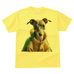 C^AO[nEh TVc fB[X t@  t  vg JWA 킢 lԗp h ̃fUC ʔ WPbg C^AO[nEh 