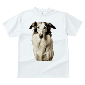 {]C TVc fB[X t@  t  vg JWA 킢 lԗp h ̃fUC ʔ {]C