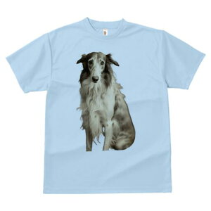 {]C TVc fB[X t@  t  vg JWA 킢 lԗp h ̃fUC ʔ {]C