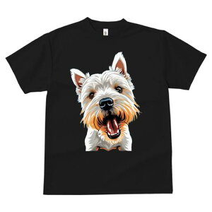 EGXgnChzCgeA TVc fB[X t@  t  vg JWA 킢 lԗp h ̃fUC ʔ 킢 EGXgnChzC