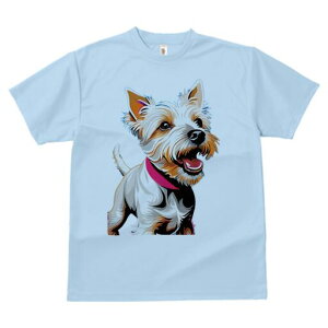 EGXgnChzCgeA TVc fB[X t@  t  vg JWA 킢 lԗp h ̃fUC ʔ  EGXgnChzCge