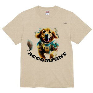 S[fgo[ TVc fB[X t@  t  vg JWA 킢 lԗp h ̃fUC ʔ F S[fgo[ F