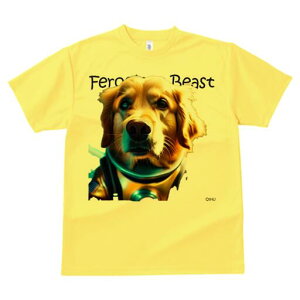 S[fgo[ TVc fB[X t@  t  vg JWA 킢 lԗp h ̃fUC ʔ F S[fgo[