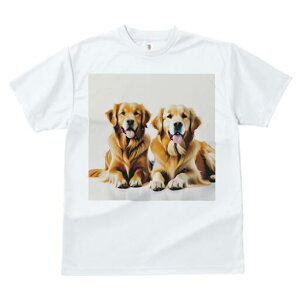 S[fgo[ TVc fB[X t@  t  vg JWA 킢 lԗp h ̃fUC ʔ S[fgo[