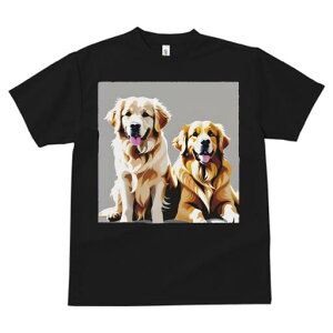 �S�[���f�����g���o�[ T�V���c ���f�B�[�X ���t�@�� ���� �t�� ���� �v�����g �J�W���A�� ���킢�� �l�ԗp ���h ���������̃f�U�C�� �ʔ� �S�[���f�����g���o�[