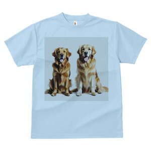 S[fgo[ TVc fB[X t@  t  vg JWA 킢 lԗp h ̃fUC ʔ S[fgo[