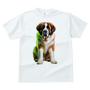 Zgo[i[h TVc fB[X t@  t  vg JWA 킢 lԗp h ̃fUC ʔ Zgo[i[h