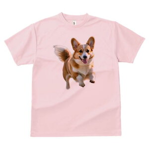 R[M[ TVc fB[X t@  t  vg JWA 킢 lԗp h ̃fUC ʔ 킢 R[M[  ybg 