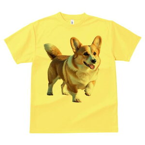 R[M[ TVc fB[X t@  t  vg JWA 킢 lԗp h ̃fUC ʔ R[M[