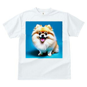 |jA TVc fB[X t@  t  vg JWA 킢 lԗp h ̃fUC ʔ |jA