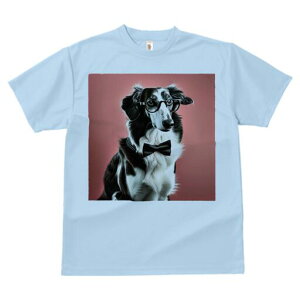 {[_[R[ TVc fB[X t@  t  vg JWA 킢 lԗp h ̃fUC ʔ Kl {[_[R[ lN^C