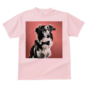 {[_[R[ TVc fB[X t@  t  vg JWA 킢 lԗp h ̃fUC ʔ Kl {[_[R[ lN^C