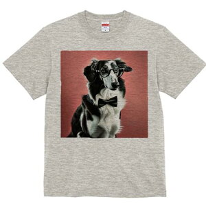 {[_[R[ TVc fB[X t@  t  vg JWA 킢 lԗp h ̃fUC ʔ Kl {[_[R[ lN^C