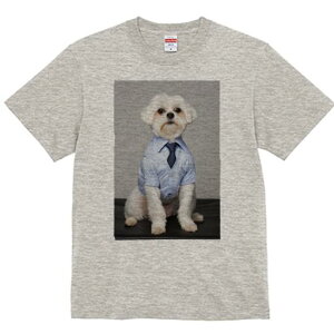 }`[Y TVc fB[X t@  t  vg JWA 킢 lԗp h ̃fUC ʔ Vc }`[Y lN^C