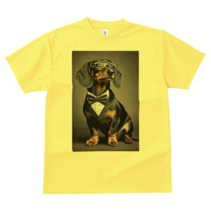 _bNXth TVc fB[X t@  t  vg JWA 킢 lԗp h ̃fUC ʔ ^LV[h _bNXth lN^C ዾ tH[}