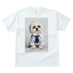 }`[Y TVc fB[X t@  t  vg JWA 킢 lԗp h ̃fUC ʔ lN^C }`[Y Vc