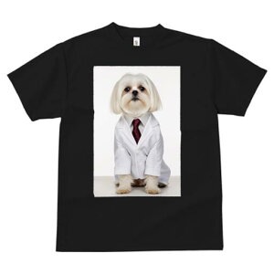 }`[Y TVc fB[X t@  t  vg JWA 킢 lԗp h ̃fUC ʔ CVc }`[Y lN^C 