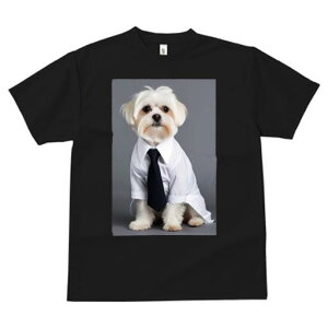 }`[Y TVc fB[X t@  t  vg JWA 킢 lԗp h ̃fUC ʔ CVc }`[Y lN^C