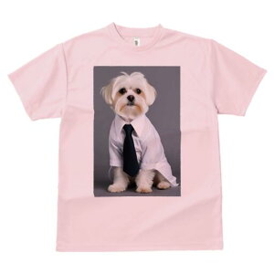 }`[Y TVc fB[X t@  t  vg JWA 킢 lԗp h ̃fUC ʔ CVc }`[Y lN^C