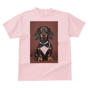 _bNXth TVc fB[X t@  t  vg JWA 킢 lԗp h ̃fUC ʔ lN^C _bNXth ዾ ^LV[h